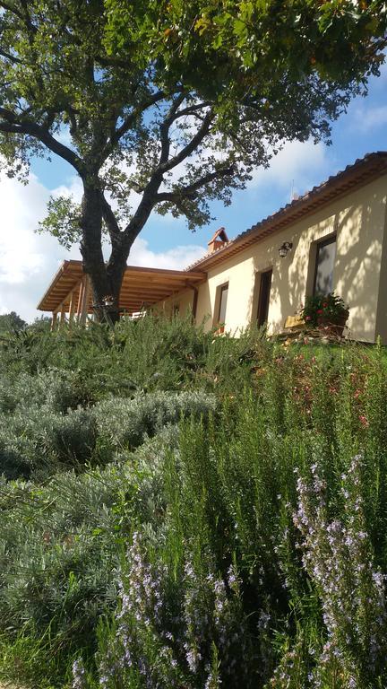 Agriturismo Sugheretello Semproniano Exterior photo